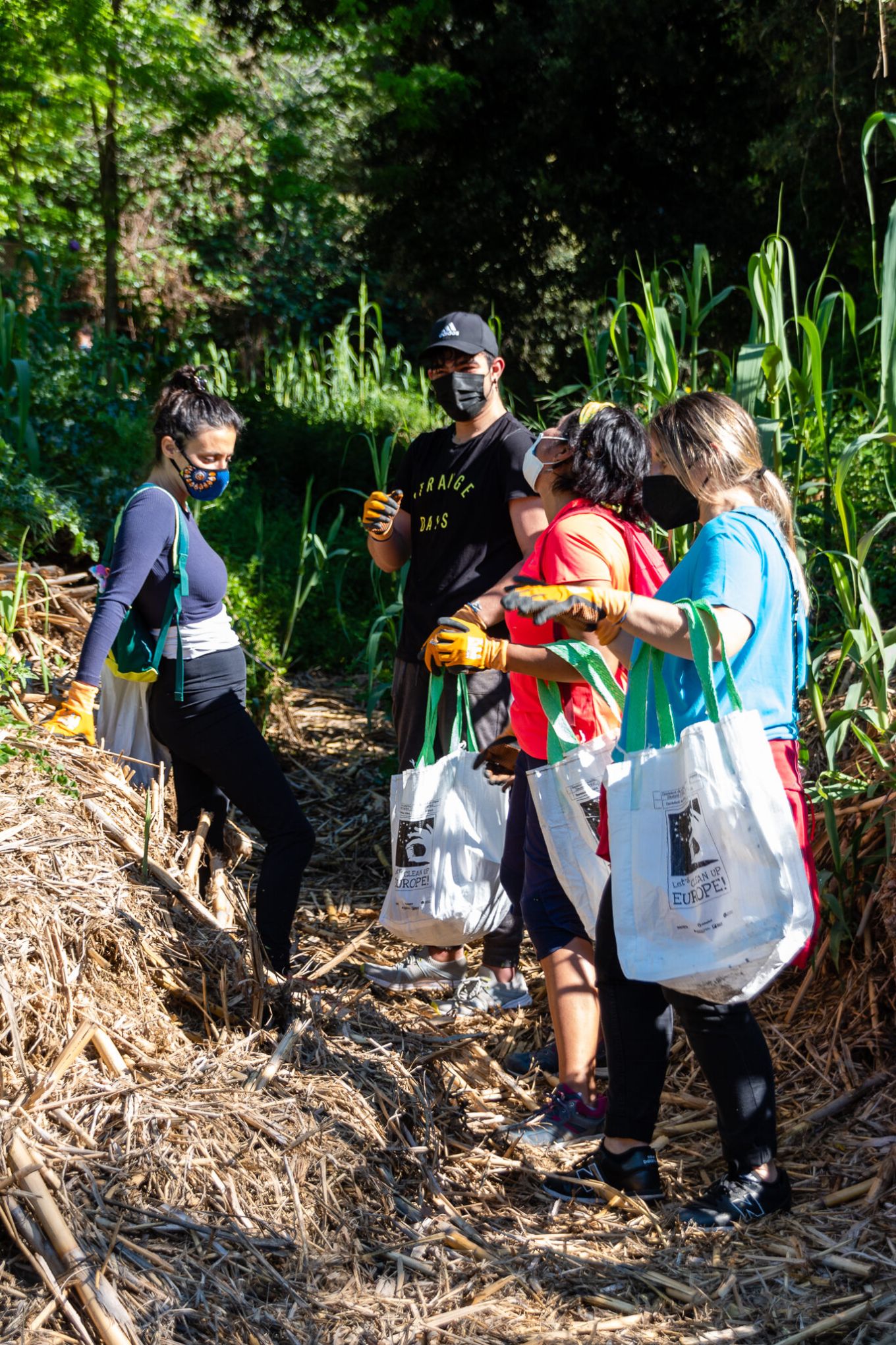 Limpieza Ca l'Arenys