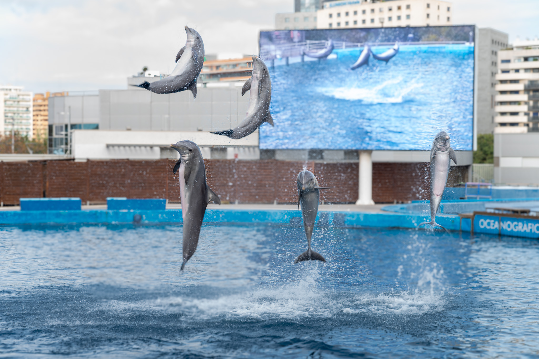 Valencia 20241126 0438